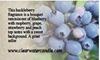 Country Collection - Huckleberry - 2.75oz Soy Wax Melts