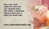 Country Collection - Raspberry Sparkle - 2.75oz Soy Wax Melts