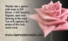 Country Collection - Rose - 2.75oz Soy Wax Melts
