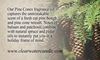 Country Collection - Pine Cones - 2.75oz Soy Wax Melts