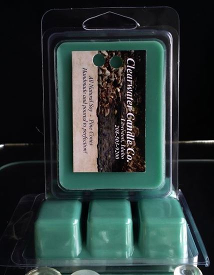 Country Collection - Pine Cones - 2.75oz Soy Wax Melts
